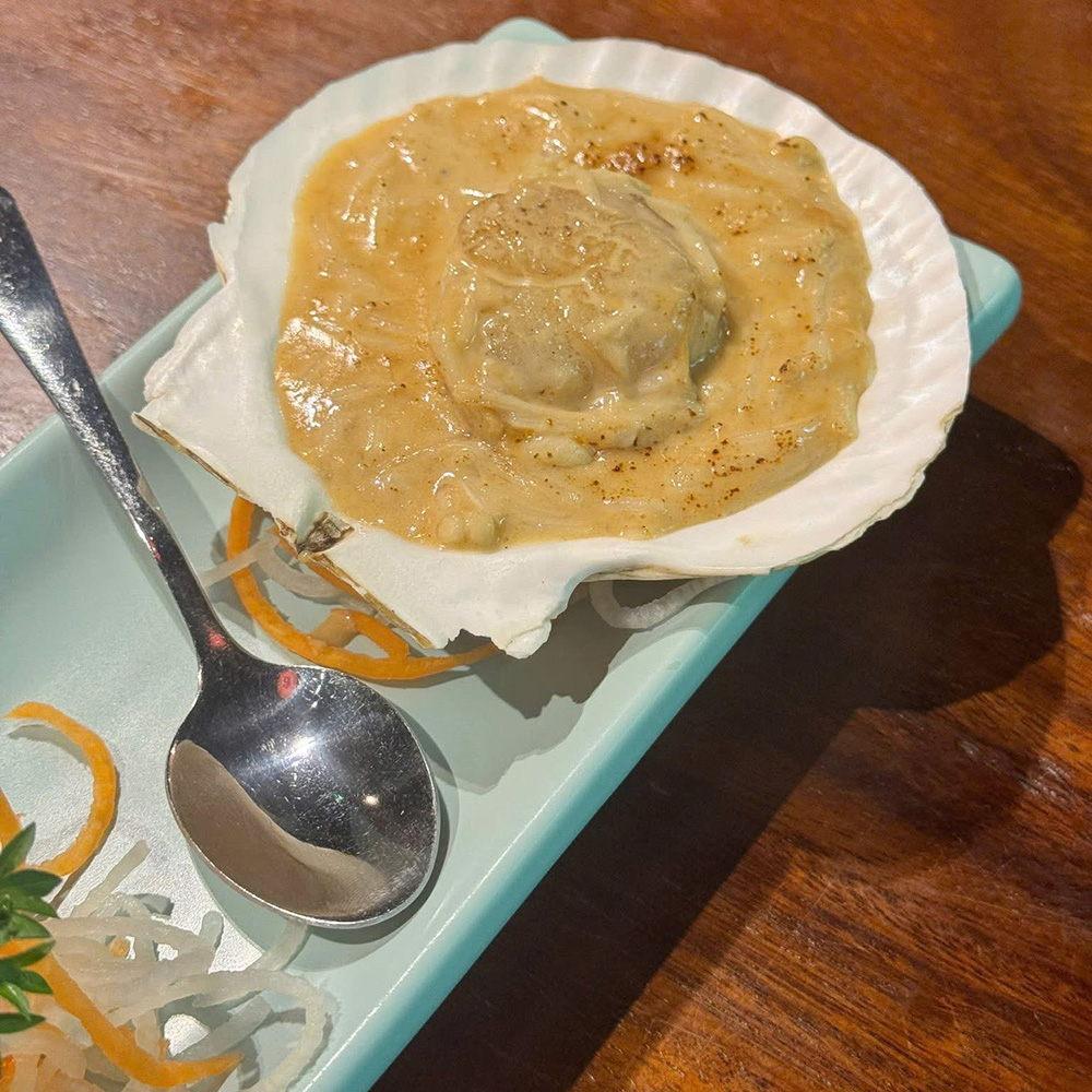 Natural Japanese Scallop Shells — view 5